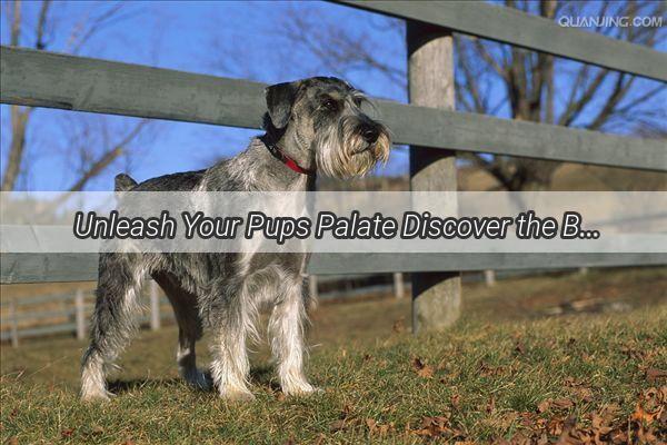 Unleash Your Pups Palate Discover the Best Treats for Your Canine Companion